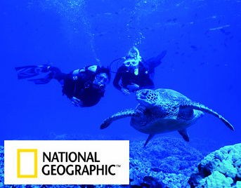 Take the PADI National Geographic Course and be as these Divers looking at sea turtle - Picture property of PADI - Snippy's Snaps Diving - Dive Snippy