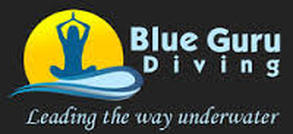 logo Blue-Guru. used on Snippy's Snaps Diving. to show eco-project participation and activities. 